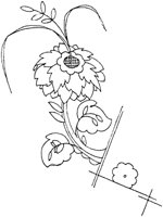 WMG034G.TIF