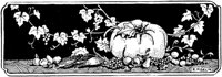 WMG033M.TIF