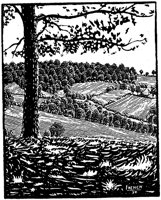WMG033H.TIF