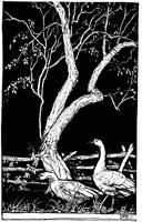 WMG033E.TIF