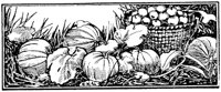 WMG032F.TIF