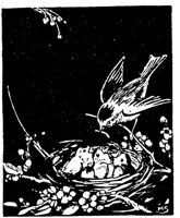 WMG031A.TIF