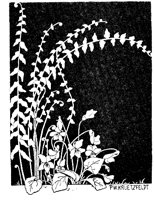 WMG030M.TIF