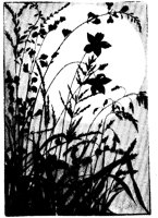 WMG030J.TIF