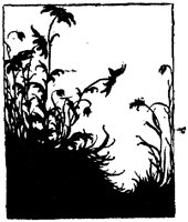 WMG030G.TIF