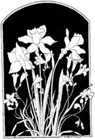 WMG030F.TIF