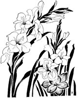 WMG030E.TIF