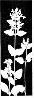 WMG030C.TIF