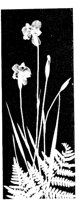 WMG030A.TIF