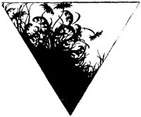 WMG029M.TIF