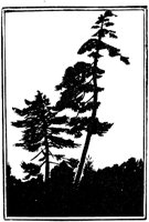 WMG029K.TIF