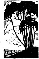 WMG029E.TIF
