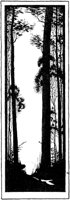 WMG029A.TIF