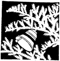 WMG046E.TIF