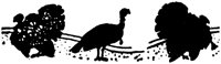 WMG044M.TIF