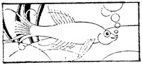WMG041O.TIF