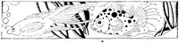 WMG041E.TIF