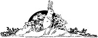 WMG060F.TIF