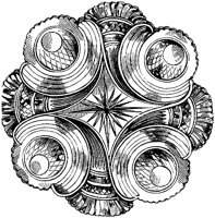 CTP036G.TIF