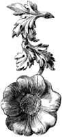 CTP026F.TIF