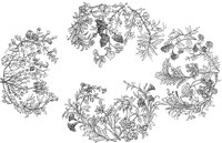 CTP165A.TIF