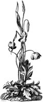 CTP106A.TIF