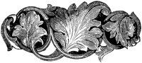 CTP244F.TIF