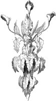 CTP244A.TIF