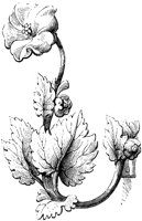CTP242D.TIF