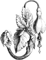 CTP242C.TIF