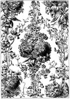 CTP234C.TIF
