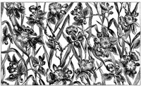 CTP234B.TIF