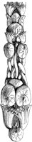 CTP222A.TIF