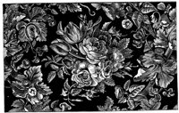 CTP197A.TIF