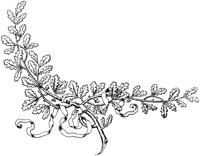 EAC115C.TIF