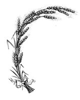 EAC113C.TIF