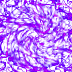 0016P1.GIF
