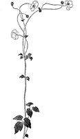 EAC088M.TIF