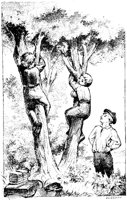 EAC040D.TIF