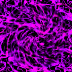 0016M1.GIF