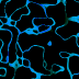 0016B2.GIF
