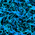 0016B1.GIF