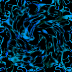 0016A3.GIF