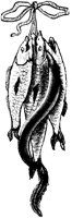 EAC049G.TIF