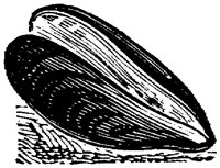 EAC046LL.TIF