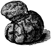 EAC046G.TIF