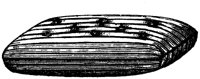EAC157R.TIF