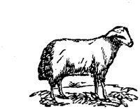 EAC011DD.TIF