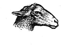 EAC011C.TIF
