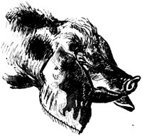EAC010Z.TIF